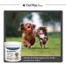 Animal Plus Joint Tablets for Dogs | Green Lipped Mussel MSM Glucosamine & More | 120 Pieces Made in Germany - Buy Online on GoSupps.com