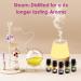 100% Natural Aromatherapy Essential Oils Set for Home Diffuser - 10ML x 20 - Gift Set for Relaxing, Cleaning, and Home Fragrance - Buy Online on GoSupps.com