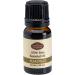 Fabulous Frannie Niaouli 100% Pure Undiluted Essential Oil - 10 ml