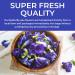 Organic Butterfly Pea Flower Tea Loose Leaf - 3.5 oz (300+ Cups) - Freshly Picked from Thailand - Herbal Blue Tea Gift - USDA Certified - by PICKNATURE - Buy Online on GoSupps.com