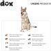 DDOXX Reflecting Airmesh Step-in Dog Harness - Adjustable Puppy Harness for All Sizes - L (Orange) - Breast Size 43-48 cm - Buy Online on GoSupps.com