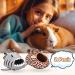 Avont 2 Pack Guinea Pig Bed House Hideout for Cage Small Pet Washable Warm Sleep Bed for Dwarf Rabbits Chinchillas Hamsters Hedgehogs Ferrets Bearded Dragons and Rats - Buy Online on GoSupps.com
