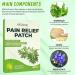 30 Pcs Knee Pain Relief Patch Orgasm Knee Patche for Pain Relief Orgasmic Climax Well Knee Pain Relief Patches Pain Relief Patches Natural Herbal Relief Patches for Arthritis Neck - Buy Online on GoSupps.com