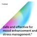 Thorne Mood Plus - Botanical Support for Mood and Stress Management - 120 Capsules - Buy Online on GoSupps.com