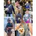 Puppy Pet Sling Carrier for Small Dogs and Cats - Breathable Mesh Papoose Pouch Tote with Adjustable Shoulder Strap - Safety Pet Bag for Daily Walking - Up to 10lbs - Black - Buy Online on GoSupps.com