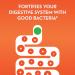 Align Gut Health & Immunity Probiotic - Daily Digestive Support for Men and Women - 28 Capsules - Buy Online on GoSupps.com