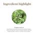 Inner Defense by Young Living - 30 Softgels | Potent Essential Oil Blend for Immune Support - Buy Online on GoSupps.com