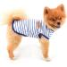 Summer Striped T-Shirt for Small & Medium Dogs | Smalllee Lucky Store | Sleeveless Pet Clothing for Yorkies Chihuahuas & More in XXL Blue - Buy Online on GoSupps.com