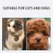 Buy DKDDSSS 3PC Soft Cat Protective Collar | Adjustable Anti-Bite E-Collar for Cats & Small Dogs | Comfortable Post-Surgery Safety - Buy Online on GoSupps.com