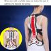 Spinal Protector Back Brace for Adults - Lumbar & Shoulder Posture Corrector | Pain Relief for Men & Women | Small Size - Buy Online on GoSupps.com