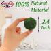 Kaveno Green Moss Decorative Balls - Set of 12 Natural Green Spheres 2.4 - Buy Online on GoSupps.com