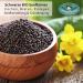  PEPPERMINTMAN Organic black mustard seeds 1000g - German culture - Seasoning and mustard manufacturing - PEPPERMINTMAN - Buy Online on GoSupps.com