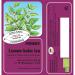 Lemon Balm Organic Herbal Tea 24 g (Pack of 1)