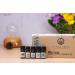 Revival Essential Oil Set - Premium Aromatherapy for Wellness | Free International Shipping - Buy Online on GoSupps.com