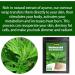 120pcs Slimming Patch - Natural Herbal Waist Shaper Wormwood Patch for Abdomen - Body Slimming Solution | International Shipping - Buy Online on GoSupps.com