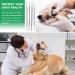 Dog Dental Tooth Scaler and Scraper Double Headed Dog Dental Care Pick Tools Teeth Cleaning Kit Pet Tartar Plaque Remover Set 4 Pcs - Buy Online on GoSupps.com
