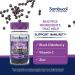 Sambucol Black Elderberry Gummies - 30 Count | Immune Support & Antioxidants - Buy Online on GoSupps.com