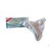 Buy Belybell Fahari Touch Refreshment Cloths - Antiperspirant Towels 10 Pack for Ultimate Freshness! - Buy Online on GoSupps.com