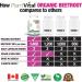 PlantVital Organic Beet Root Capsules - 1400mg per dose Beet Root Powder Beet Root Supplement Antioxidant Supplement - Protects Against Oxidative Damage and Free Radicals - 360 Vegan Capsules 6-Month Supply 360 count (Pack of 1) - Buy Online on GoSupps.com