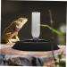 BUGUUYO Turtle Drinker Lizard Water Bowls Automatic Lizard Waterer Pet Food Feeder Reptile Reptisoil Plastic 17X17X3.5CM Black - Buy Online on GoSupps.com