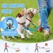 Slowton Adjustable Double Dog Leash - 360 Rotatable Reflective Design for Small Dogs (3-9 kg) - Aquamarine - Buy Online on GoSupps.com