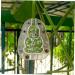 VANZACK Vegetable 4pcs Fruit Novel Shaping Buddha Shaped Cake Fruit Vegetable 3D Pumpkin Melon - Buy Online on GoSupps.com