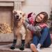 cobee Dog Socks 4 Pcs Non-Slip Pet Paw Protector with Adjustable Straps for Indoor Outdoor Wear Winter Puppy Socks with Grips Traction Control for Small/Medium Dog Cold Weather Socks(M Size Black) - Buy Online on GoSupps.com