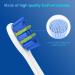 Sonicare Replacement Heads for Philips Electric Toothbrush - KD-D5 Click-On/Snap-On Brush Heads | International Shipping Available - Buy Online on GoSupps.com