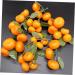 Zerodeko 3pcs Simulation Sugar Orange Plastic Fruit Decor Orange Model House Decorations for Home Artificial Orange Home D cor Playhouse Toy Photo Prop Household Showcase Foam - Buy Online on GoSupps.com