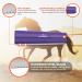Equigroomer 9 (22.86cm) - Purple Grooming Tool for Pets | Fast International Shipping - Buy Online on GoSupps.com