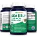 Organic Sea Kelp 325mcg - 200 Veggie Capsules, Non-GMO & Gluten Free - Buy Online on GoSupps.com