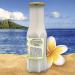 Dip into Paradise Gourmet Coconut Fruit Syrup - Made in Hawaii - 10 oz - Buy Online on GoSupps.com