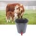 Nachukan 8L Milk Feed Bucket & Feeder Bucket - Plastic with Nipples & Check Valves - Premium Milk Feeding Tool & Livestock Accessory for Efficient Livestock Care(For cattle) - Buy Online on GoSupps.com