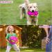 Vnklomes Flying Saucer Ball for Dogs - Interactive Frisbee Toy for Training & Play | Best Dog Toy for Fun & Exercise - Buy Online on GoSupps.com