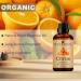 Organic Citrus Essential Oil 30ML - Pure Natural Aromatherapy Diffuser | Shop Now - Buy Online on GoSupps.com