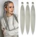 Braids Kunsthaar 32 inch 3packs ginger braided hair for braids hair for the braid Box Braids Kunsthaar for simple synthetic braided hair extensions braids braid extensions (32 inches silver#) 81cm-32 inch (3 Pack) Silver###