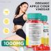 Speedy Keto ACV Gummies for Advanced Weight Loss - 60 Count Pack - Shark Tank Belly Fat Supplement with Apple Cider Vinegar - Extra Strength Gomitas - Buy Online on GoSupps.com
