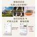 Taiwan unique tea Shanlinxi Qingyang Longfengxia Oolong Tea 75g*6 - Buy Online on GoSupps.com