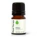 Plant Therapy Melissa Essential Oil 2.5 mL (1/12 oz) 100% Pure Undiluted Therapeutic Grade Melissa 0.08 Fl Oz (Pack of 1)