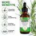 100% Pure Rosemary Oil for Hair Growth - Natural Essential Oil for Scalp Eyebrows & Eyelashes Nourishment - 60ml - Buy Online on GoSupps.com
