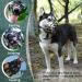 Buy Green Dog Muzzle - Adjustable 1 Piece (Snout 16.5-19.7 cm) for Comfortable Fit - International Shipping Available - Buy Online on GoSupps.com
