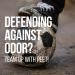 PEET Shoe & Boot Deodorizer Module - Sanitize and Deodorize Footwear - Buy Online on GoSupps.com