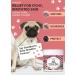 Buy Natural Hypoallergenic Folding Towels for Dogs 120 Pieces | Ideal for French Bulldogs | Cleaning & Desodorizing Face Paws and Butt - Buy Online on GoSupps.com