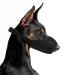 Yaodhaod muzzle for dogs with a rounded mesh loop breathable breathable dog muzzle prevents eating biting and chewing (xxl black) XXL black