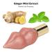 Moisturizing Lip Plumper Gloss - Metallic Nude Ginger Mint | Hydrating Lip Fuller Serum for Luscious Lips - Buy Online on GoSupps.com