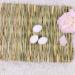 REFURBISHHOUSEÂ Rabbit Mat Grass Mats For Rabbits Safe & Edible Rabbit Mats For Cages Bunny Chew Toys For Rabbits - Buy Online on GoSupps.com