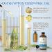EVOKE OCCU Vetiver Essential Oil and Eucalyptus Essential Oil - 4 Fl Oz - Buy Online on GoSupps.com