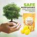 60-Count Lemon Scent Garbage Disposal Cleaner Capsules - Freshener & Deodorizer - Buy Online on GoSupps.com