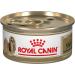 Royal Canin Shih Tzu Wet Dog Food Loaf in Sauce 3oz (Pack of 4) - Buy Online on GoSupps.com