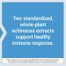 Life Extension Echinacea Elite E. purpurea E. angustifolia Whole-Plant Extract Immune Support Dual-extracts standardized Formula Gluten Free Non-GMO Vegetarian 60 Capsules - Buy Online on GoSupps.com